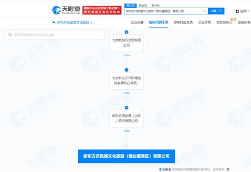 新東方文旅在煙臺(tái)成立新公司，聚焦計(jì)算機(jī)網(wǎng)絡(luò)信息及軟件技術(shù)開發(fā)